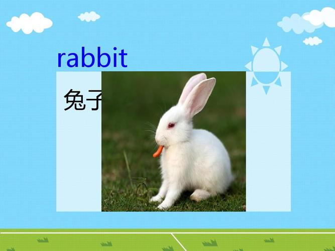 兔子用英语怎么写